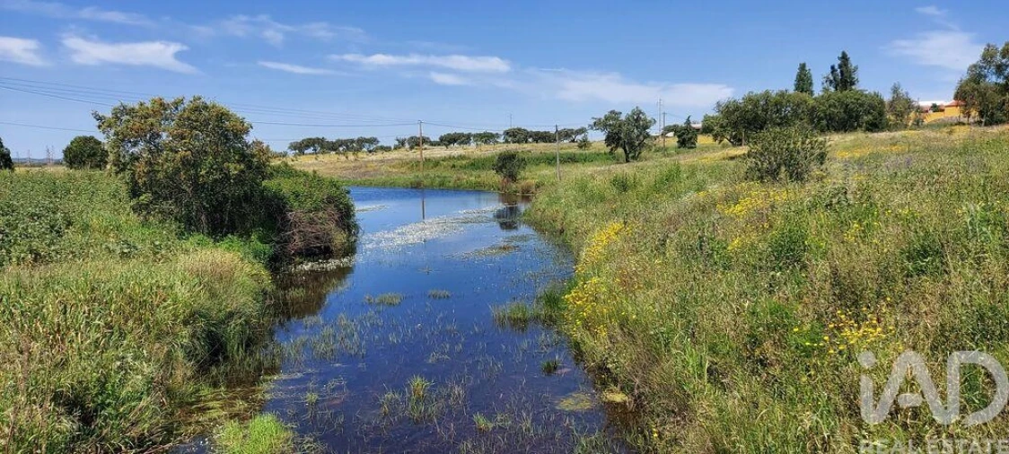Quinta T5 para Venda em Ourique Foto 4