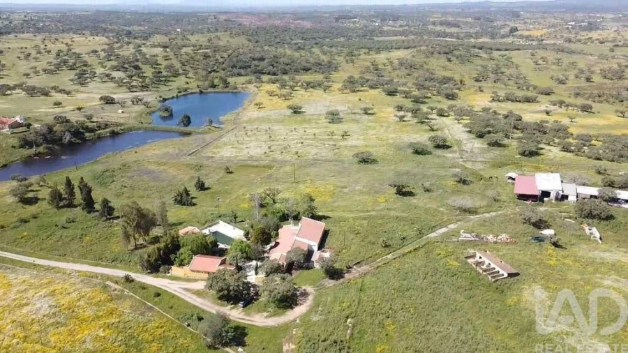 Quinta T5 para Venda em Ourique
