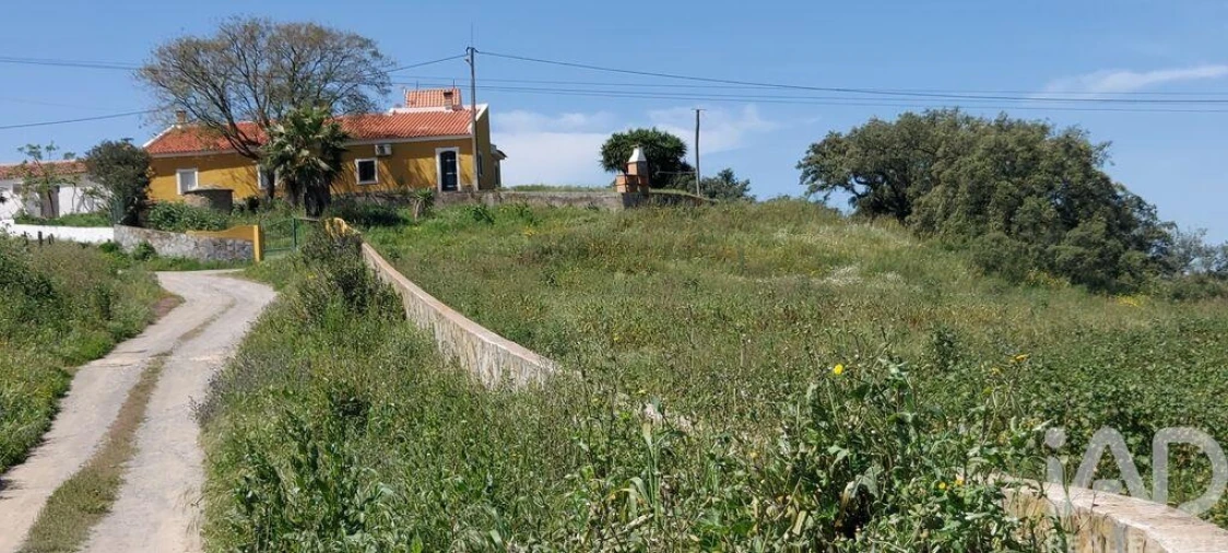 Quinta T7 para Venda em Ourique Foto 4