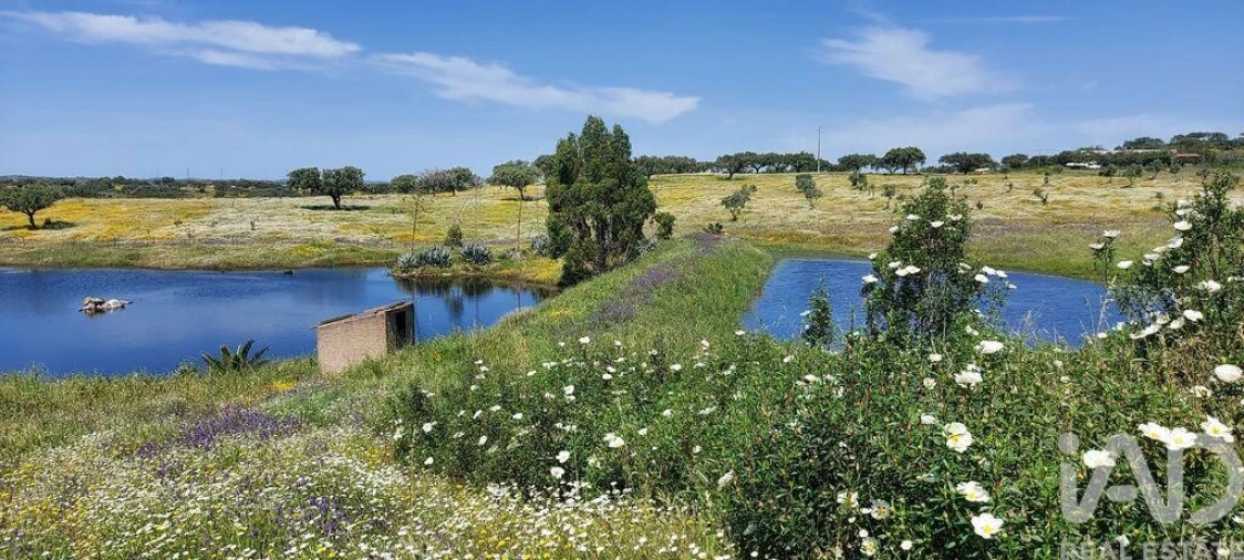 Quinta T5 para Venda em Ourique Foto 30