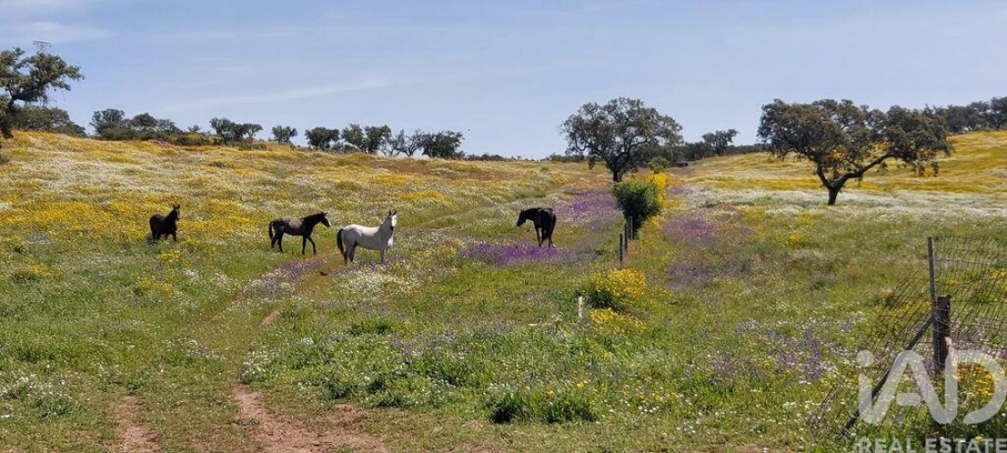 Quinta T5 para Venda em Ourique Foto 32