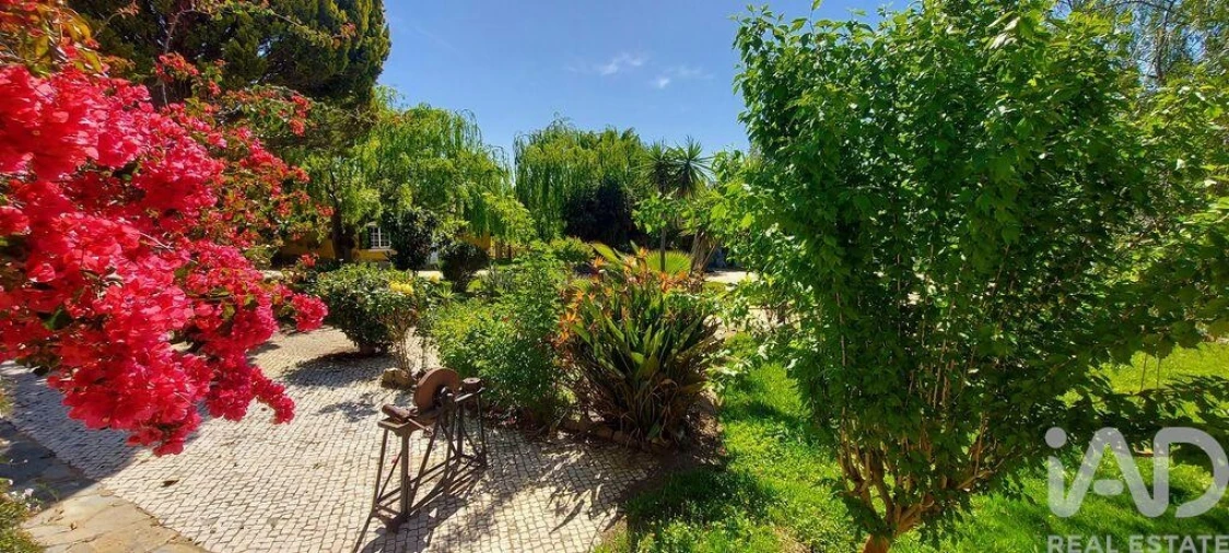 Quinta T5 para Venda em Ourique Foto 8