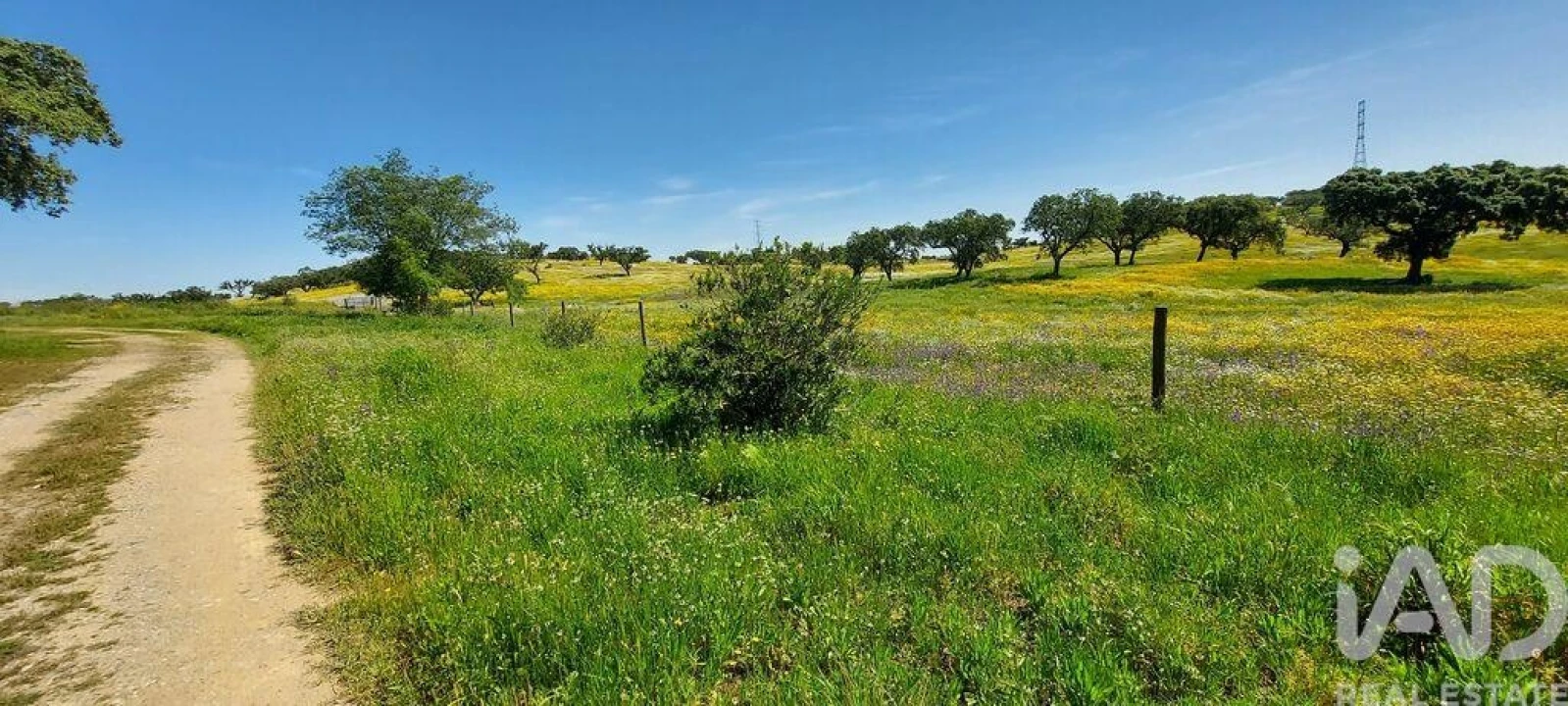 Quinta T5 para Venda em Ourique Foto 31