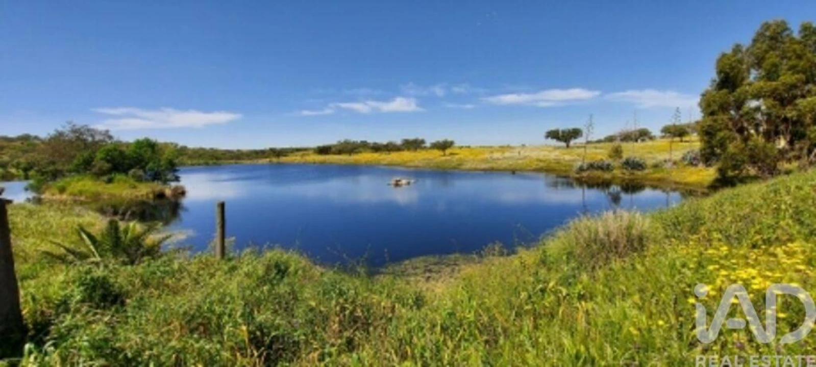 Quinta T5 para Venda em Ourique Foto 39