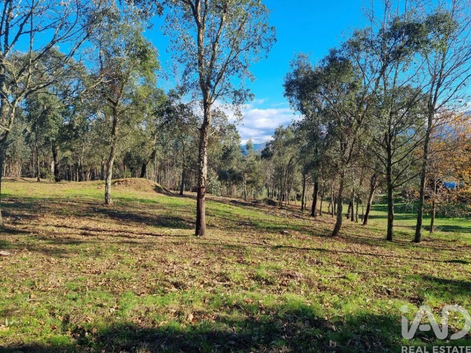 Terreno para Venda em Poiares (Santo Andre) Foto 17