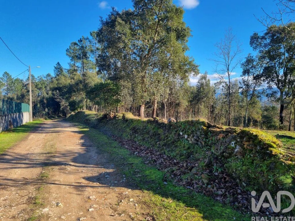 Terreno para Venda em Poiares (Santo Andre) Foto 12