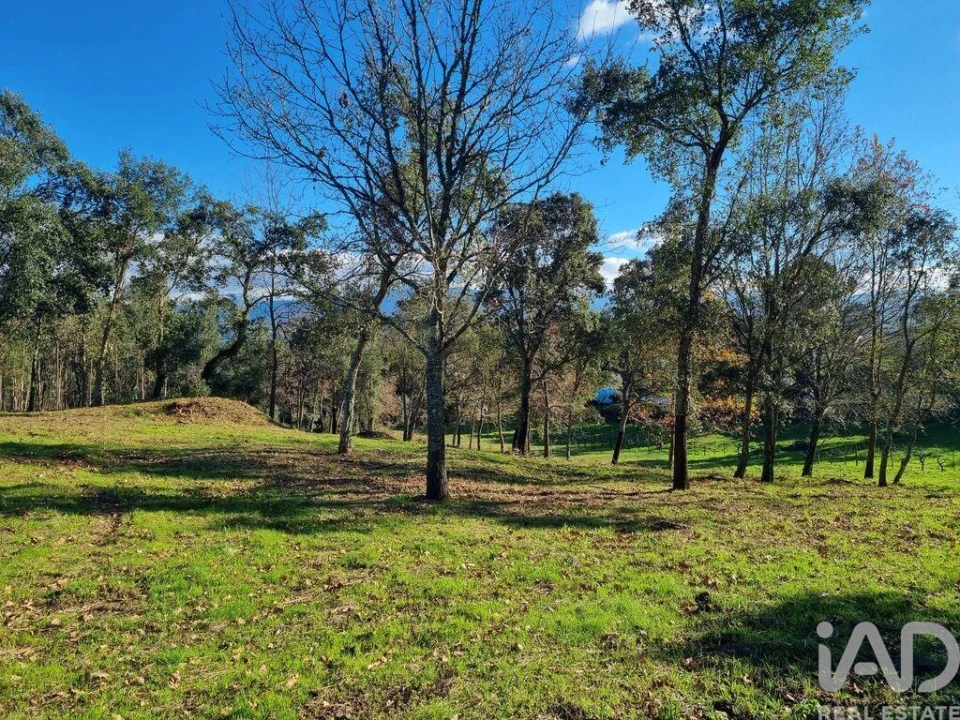 Terreno para Venda em Poiares (Santo Andre) Foto 16