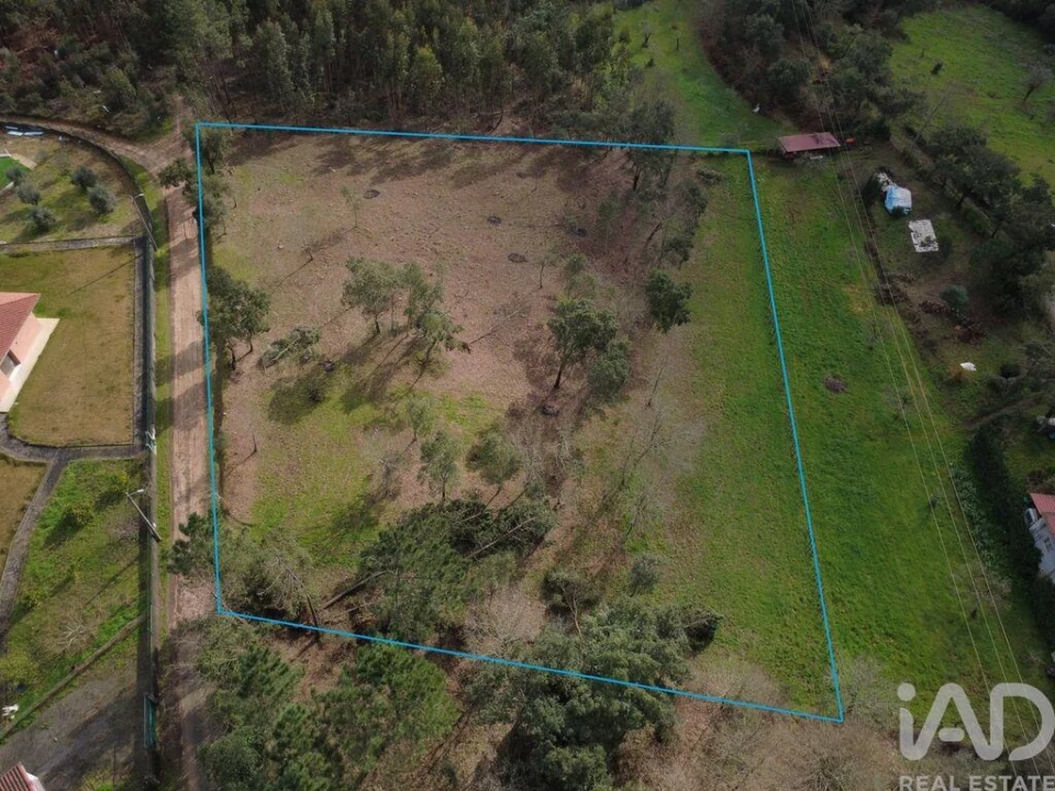 Terreno para Venda em Poiares (Santo Andre) Foto 5