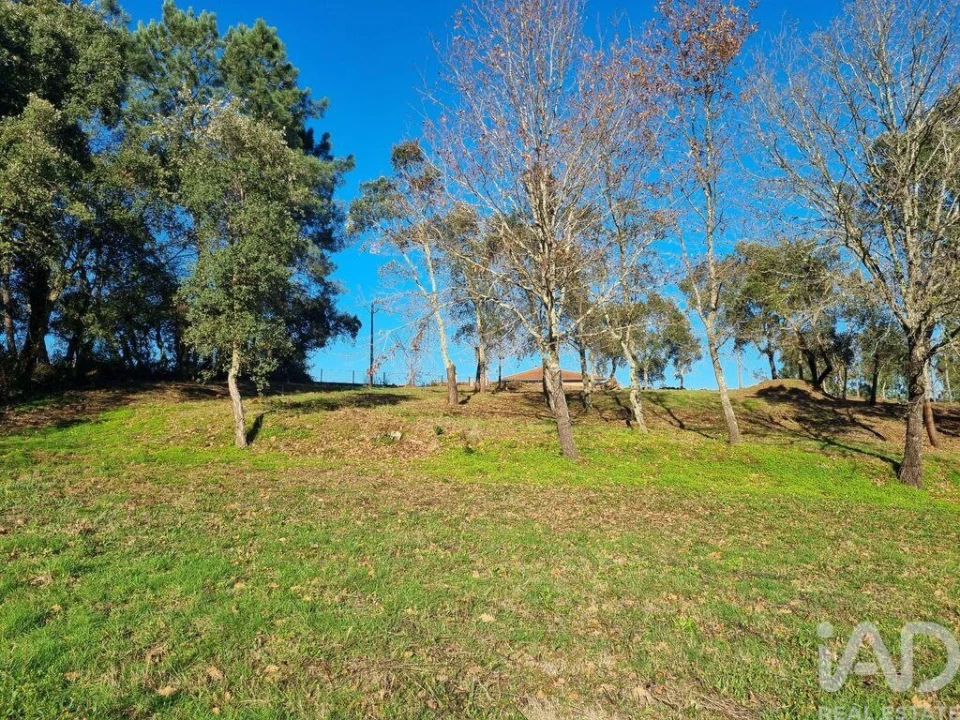 Terreno para Venda em Poiares (Santo Andre) Foto 22
