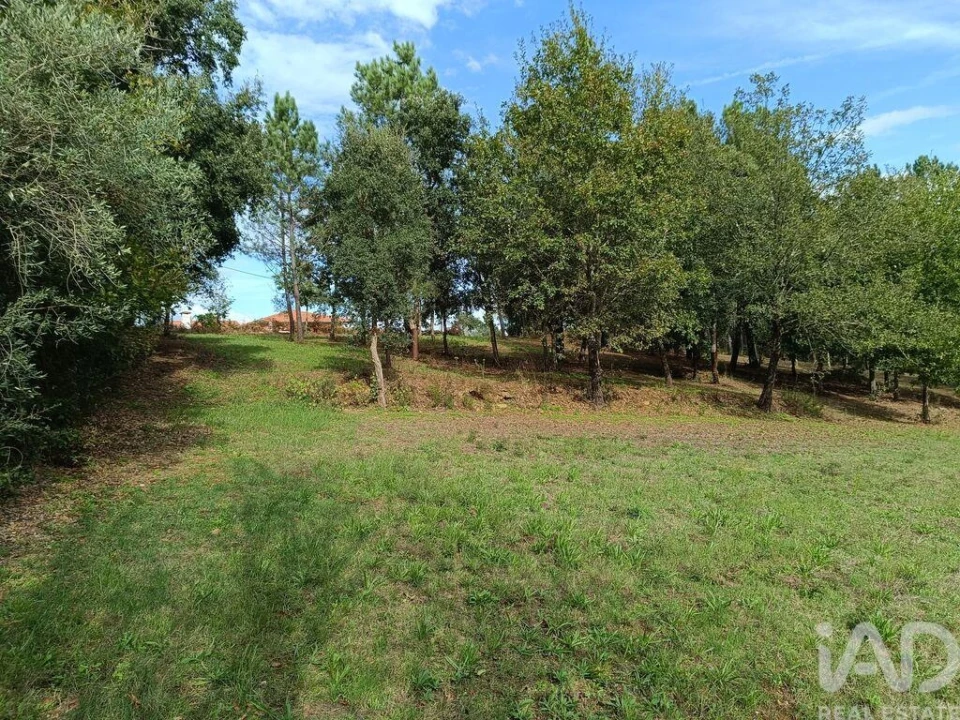 Terreno para Venda em Poiares (Santo Andre) Foto 9