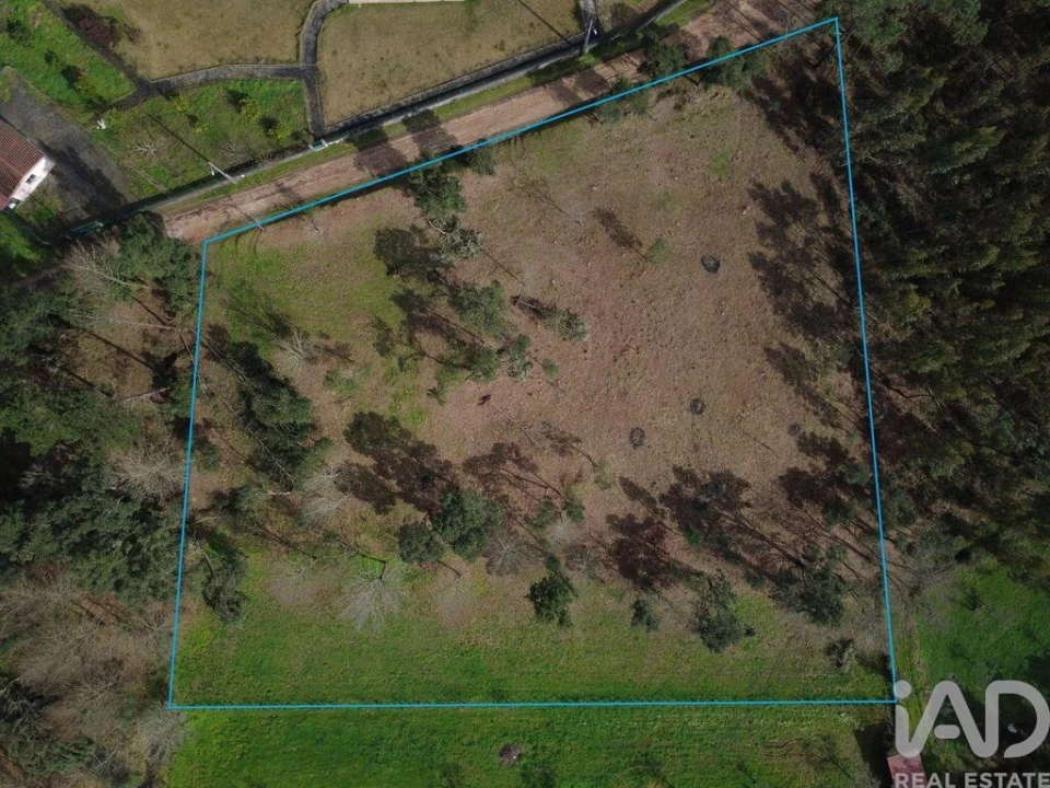 Terreno para Venda em Poiares (Santo Andre) Foto 4