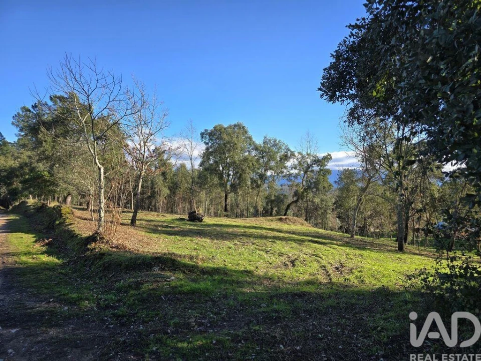 Terreno para Venda em Poiares (Santo Andre) Foto 13