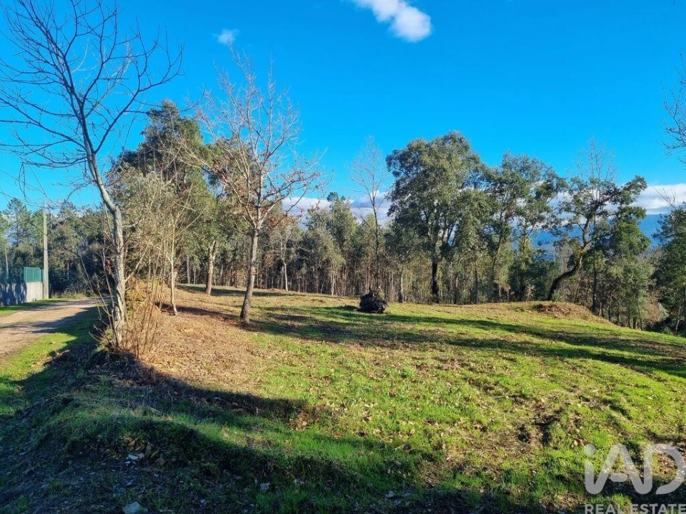 Terreno para Venda em Poiares (Santo Andre) Foto 14