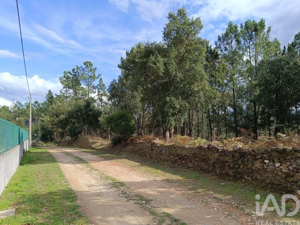 Terreno para Venda em Poiares (Santo Andre) Foto 15
