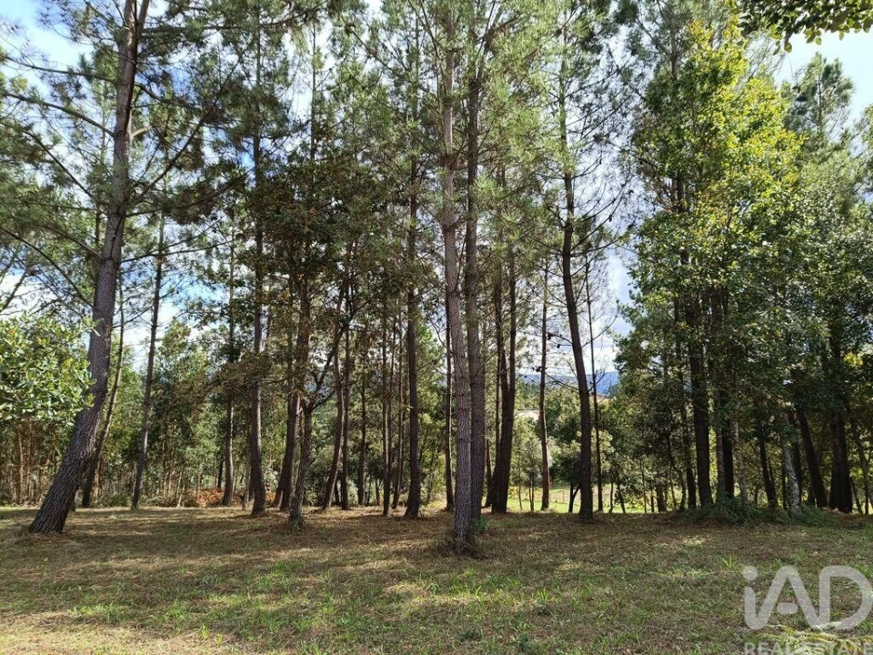 Terreno para Venda em Poiares (Santo Andre) Foto 19
