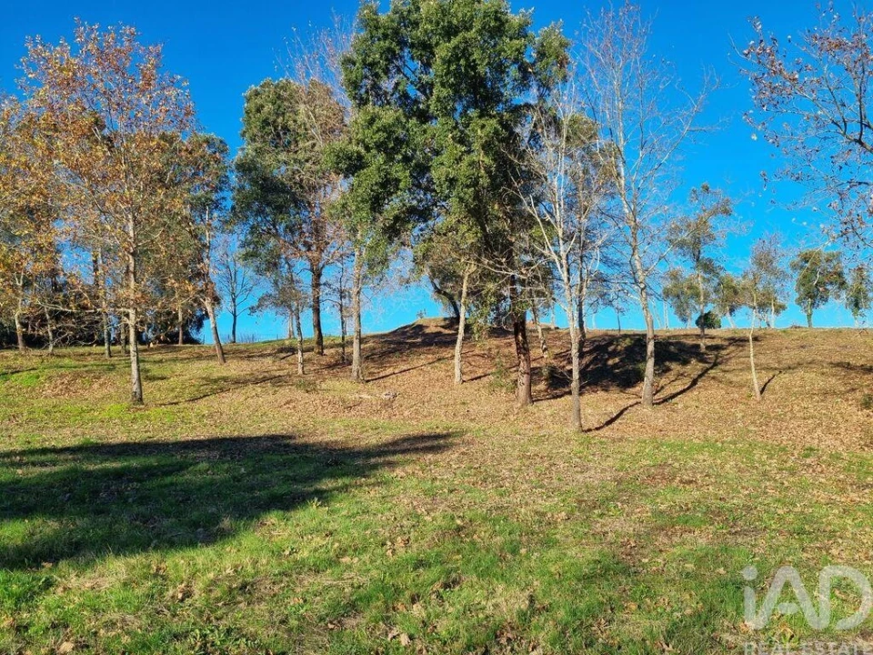 Terreno para Venda em Poiares (Santo Andre) Foto 26