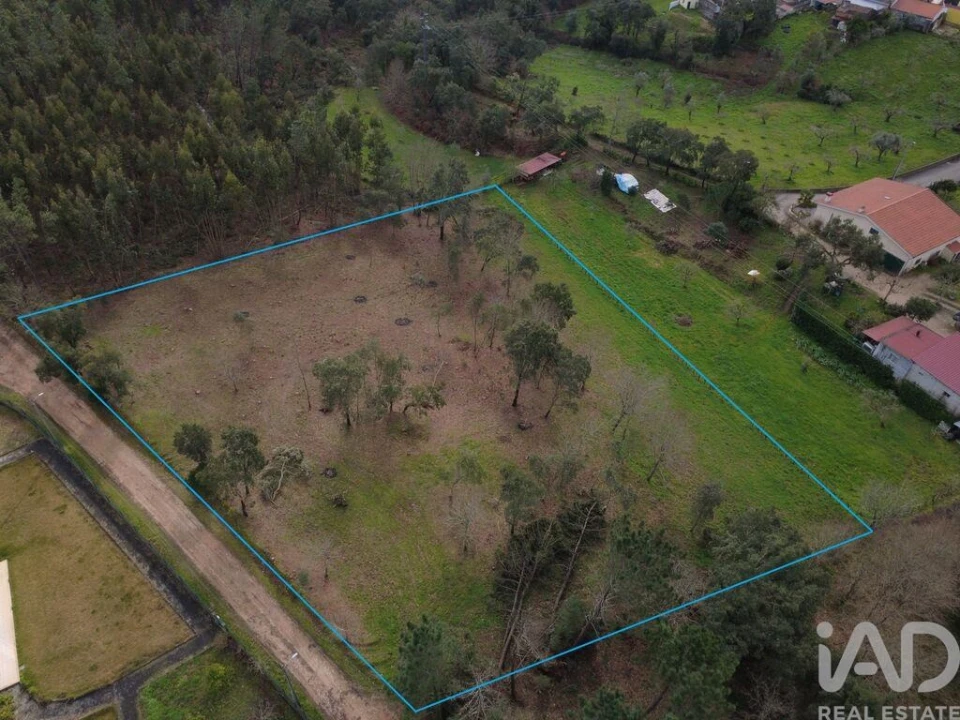 Terreno para Venda em Poiares (Santo Andre) Foto 6