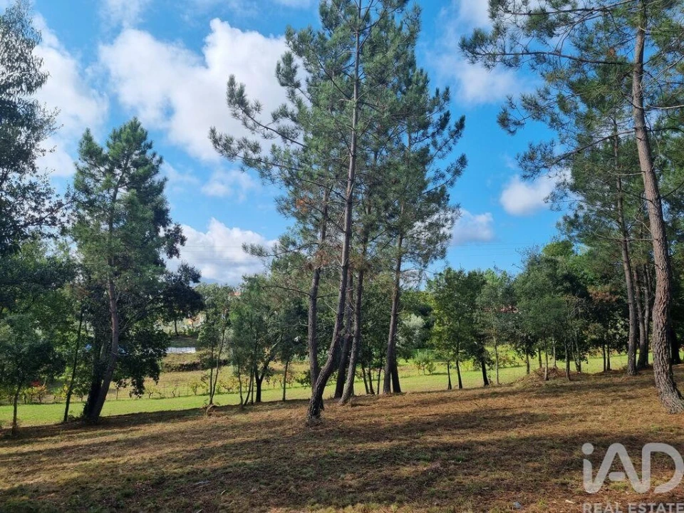 Terreno para Venda em Poiares (Santo Andre) Foto 18
