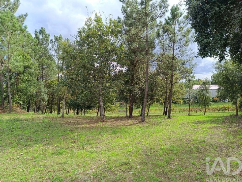 Terreno para Venda em Poiares (Santo Andre) Foto 13