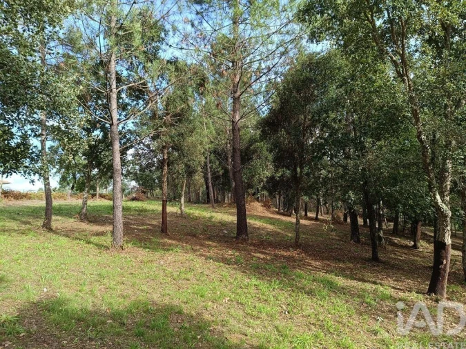 Terreno para Venda em Poiares (Santo Andre) Foto 20