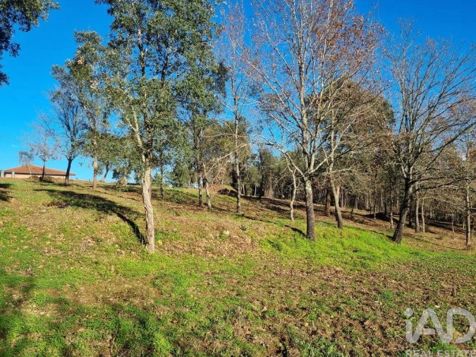 Terreno para Venda em Poiares (Santo Andre) Foto 20