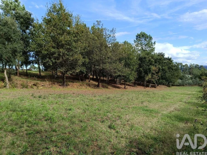 Terreno para Venda em Poiares (Santo Andre) Foto 8
