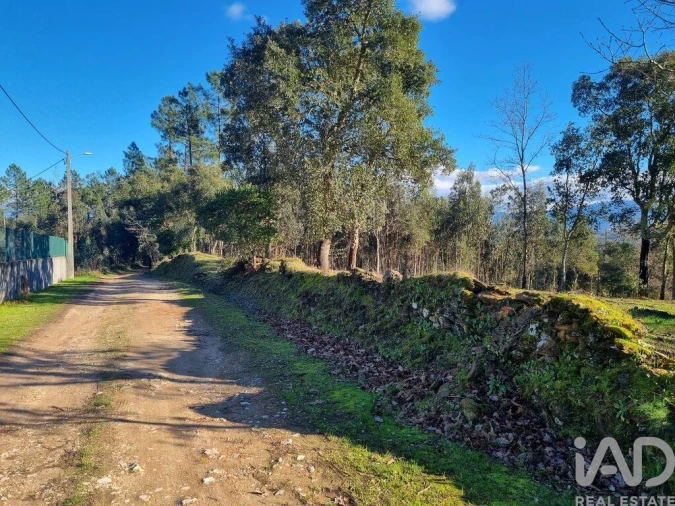 Terreno para Venda em Poiares (Santo Andre) Foto 12