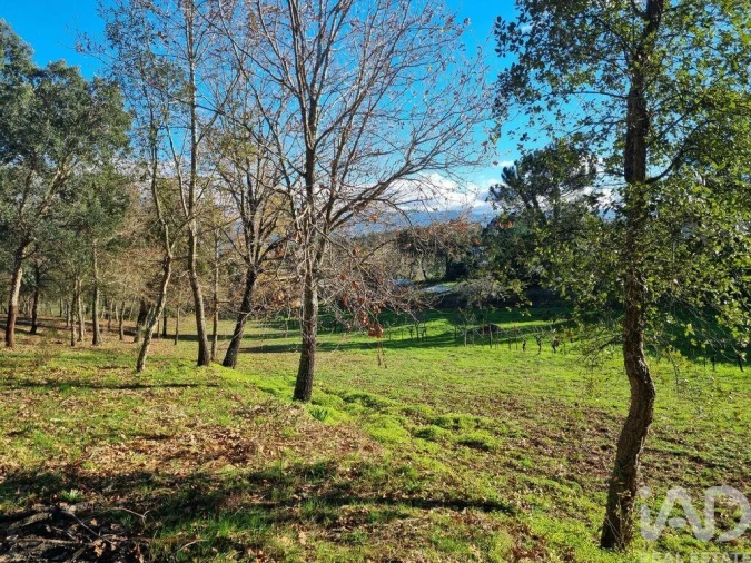 Terreno para Venda em Poiares (Santo Andre) Foto 18
