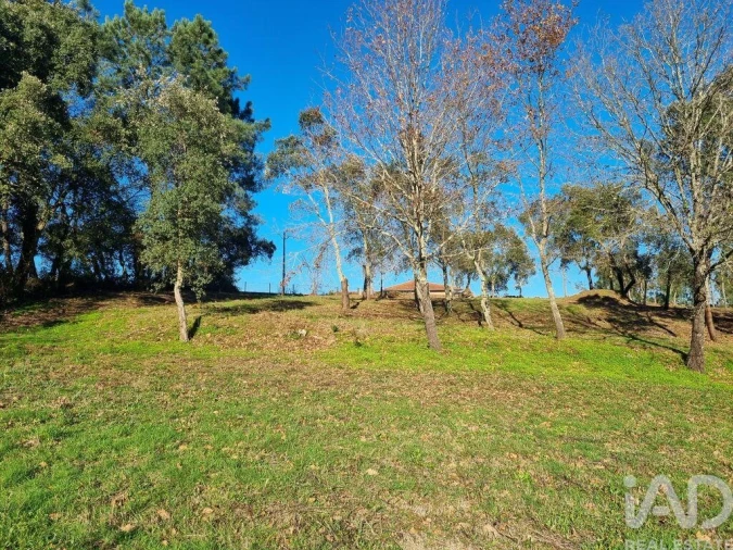 Terreno para Venda em Poiares (Santo Andre) Foto 22