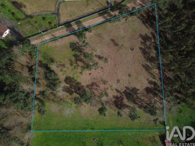 Terreno para Venda em Poiares (Santo Andre) Foto 4