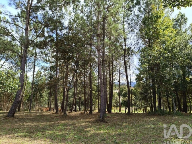 Terreno para Venda em Poiares (Santo Andre) Foto 19