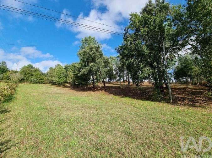 Terreno para Venda em Poiares (Santo Andre) Foto 6