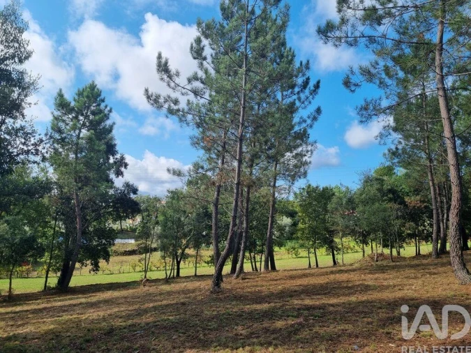 Terreno para Venda em Poiares (Santo Andre) Foto 18