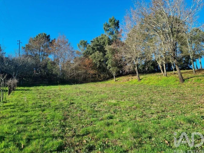 Terreno para Venda em Poiares (Santo Andre) Foto 25