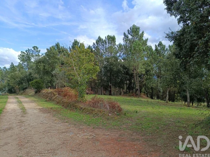 Terreno para Venda em Poiares (Santo Andre) Foto 11