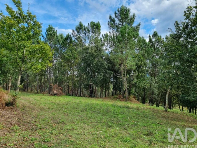 Terreno para Venda em Poiares (Santo Andre) Foto 12