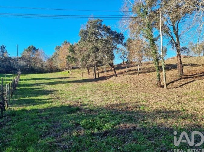 Terreno para Venda em Poiares (Santo Andre) Foto 28