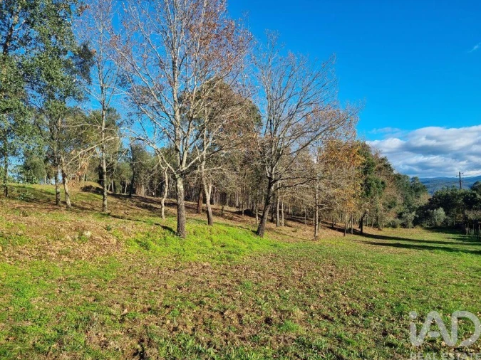 Terreno para Venda em Poiares (Santo Andre) Foto 21
