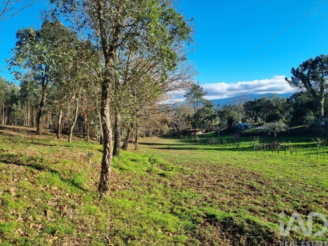 Terreno para Venda em Poiares (Santo Andre) Foto 19