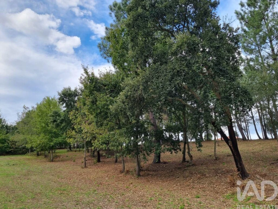 Terreno para Venda em Poiares (Santo Andre) Foto 21
