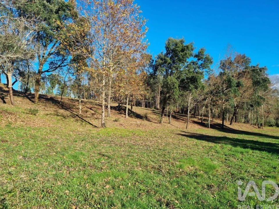 Terreno para Venda em Poiares (Santo Andre) Foto 23