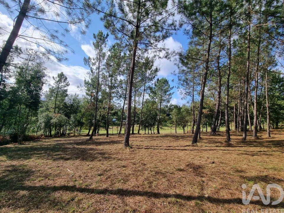 Terreno para Venda em Poiares (Santo Andre) Foto 17