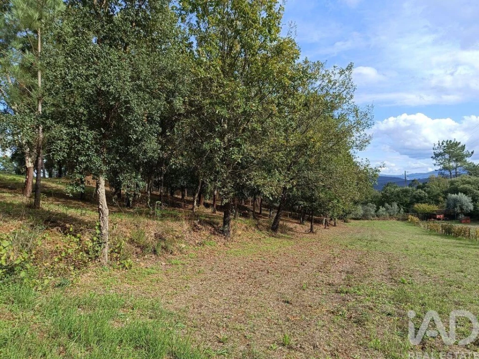 Terreno para Venda em Poiares (Santo Andre) Foto 7