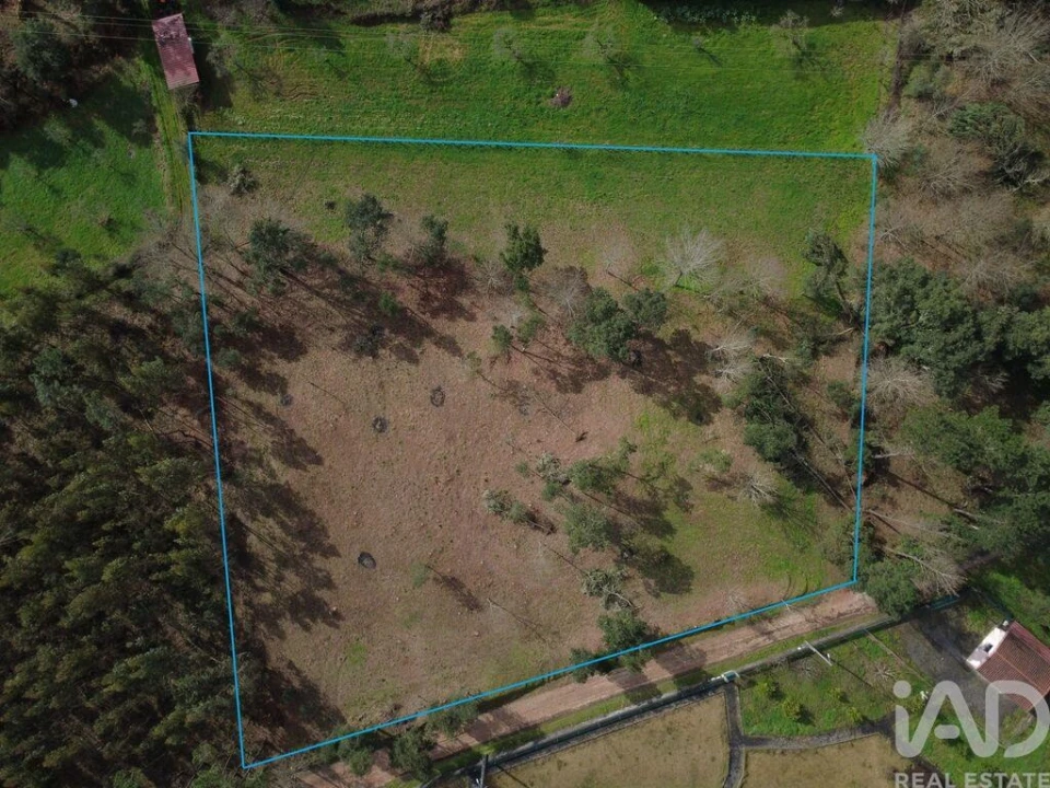 Terreno para Venda em Poiares (Santo Andre) Foto 8