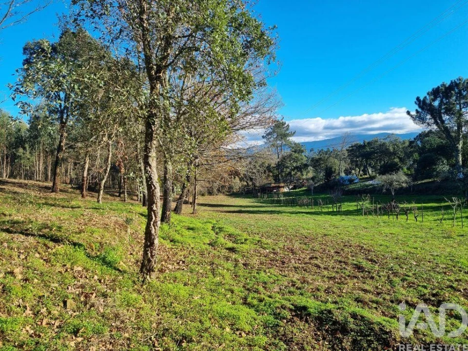 Terreno para Venda em Poiares (Santo Andre) Foto 19
