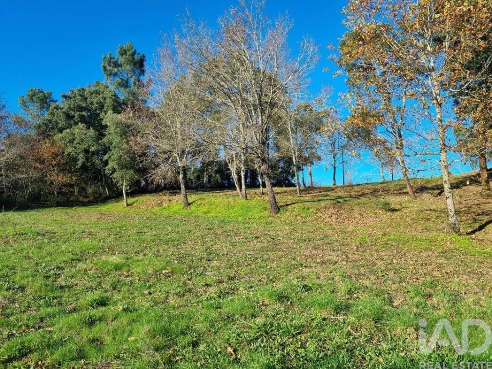 Terreno para Venda em Poiares (Santo Andre) Foto 24