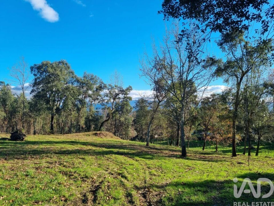 Terreno para Venda em Poiares (Santo Andre) Foto 15