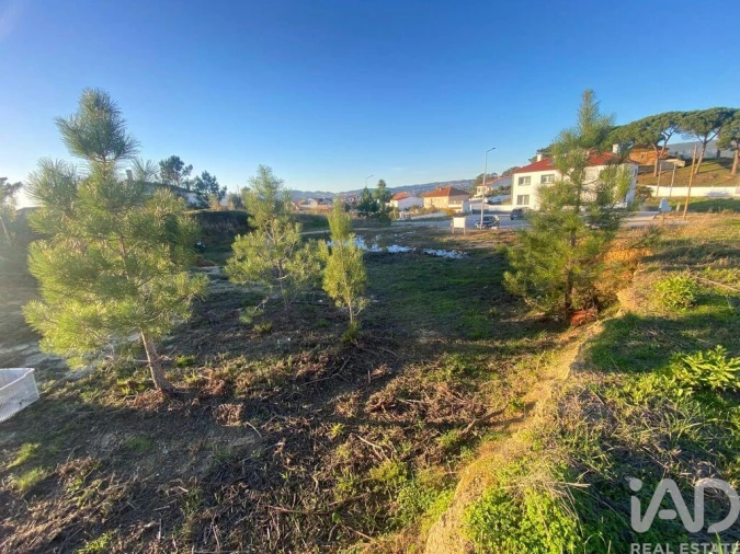 Terreno para Venda em Olhalvo Foto 3