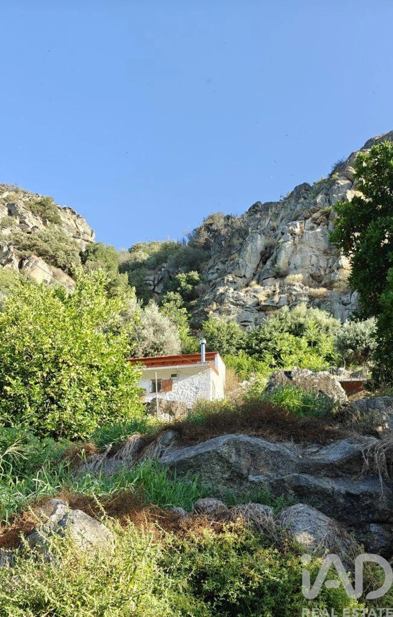 Quinta para Venda em Idanha-A-Nova e Alcafozes Foto 7