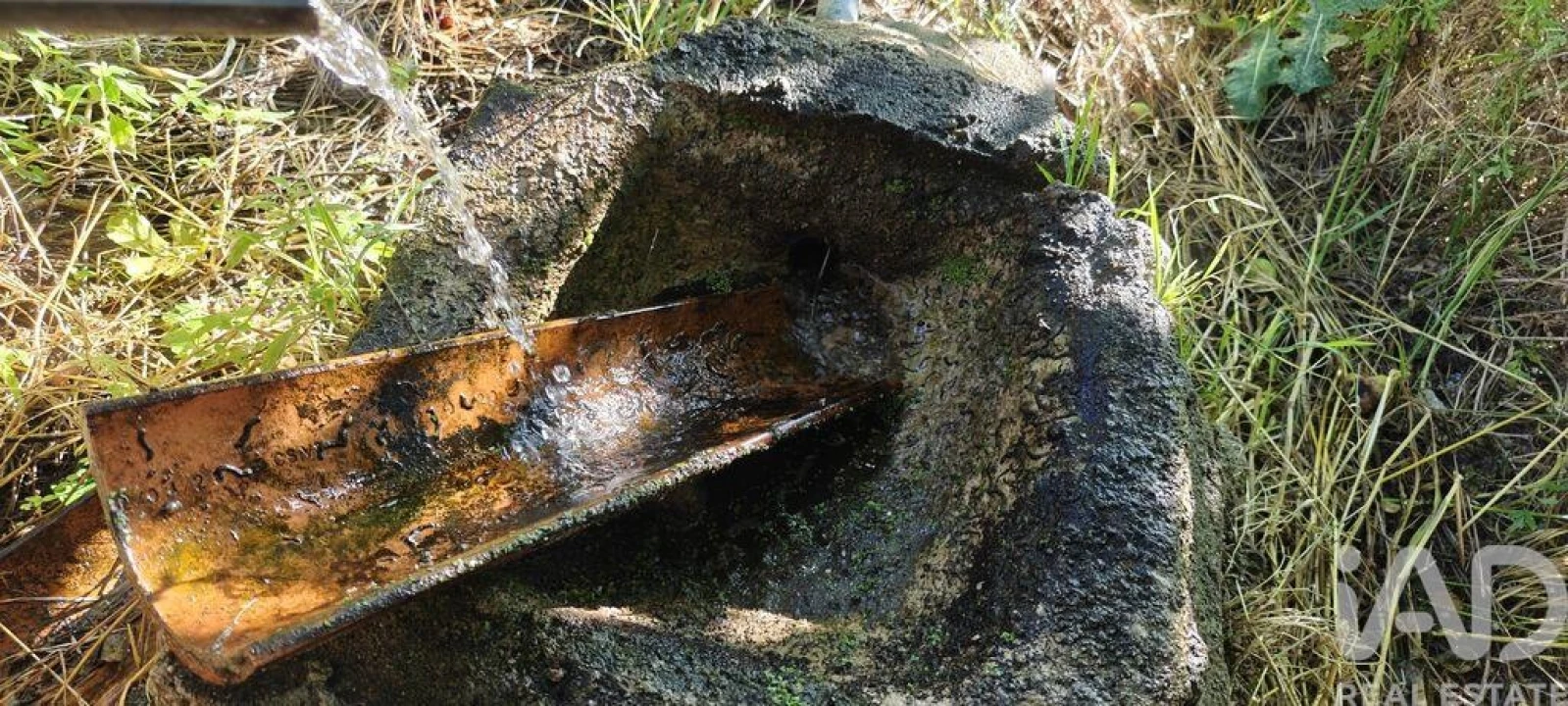 Quinta para Venda em Idanha-A-Nova e Alcafozes Foto 18